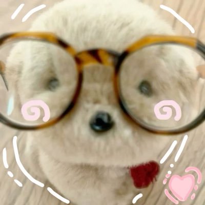 nottleox's profile picture. Meow meow