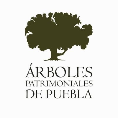 Promovemos el cuidado y conservación de los árboles patrimoniales o con potencial patrimonial en Puebla.