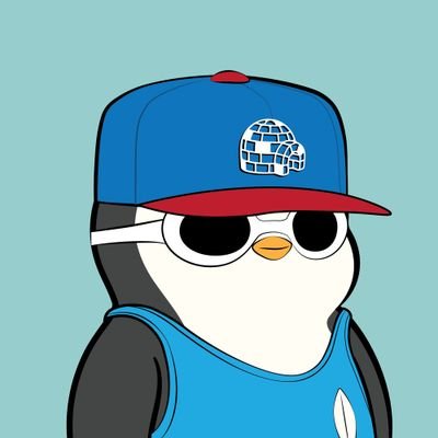 Saddam12i's profile picture. Web Developer