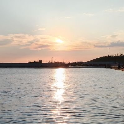 Moons_sama's profile picture. Freelance artis
https://t.co/IePSkFQia1