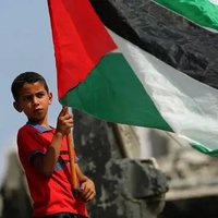 Abeer in Gaza ππ (@abeerfady2000) 's Twitter Profile