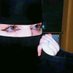 ساره (@wdytals76464) Twitter profile photo ساره (@wdytals76464) Twitter profile photo