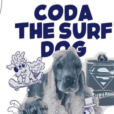 codafeuille's profile picture. 「ほめて教える」ドッグスクールPerritoです。動物福祉を優先とし科学に基づいた方法で指導します。webメディアSippo連載中。書籍/愛犬と楽しむキャンプ徹底サポートBOOK監修。どうぶつピースなどTV出演多数。海外メディアでも取り上げてていただきました。