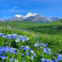 しおん 💐 (@lopiraqq) Twitter profile photo