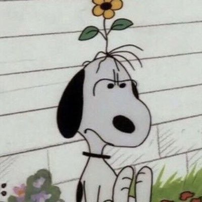 Soy de signo estupida, con ascendencia pendeja y luna en ilusa. || 222 || 777 || 3333