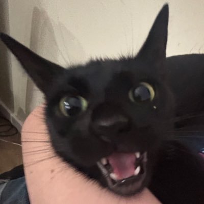 Kendall3398697's profile picture. minor, hateful ppl dni 🥰