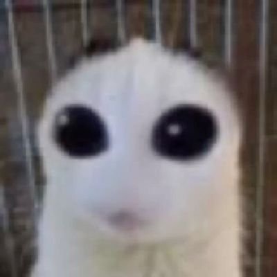 18yo roblox artist ! mdni pleach 🔞🙏 account may contain fetish content. this is my secret goon cave don't mention main here