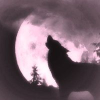 Wolfe (@wolfman_sfw) 's Twitter Profile