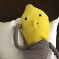 hqxxw's profile picture. 구독...🥹🥹