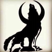 Adnan adıvar (@adnanadvar41015) 's Twitter Profile Photo