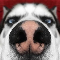 m1 (@m1_trades) 's Twitter Profile