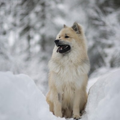 CarterAlanijHhd's profile picture. 