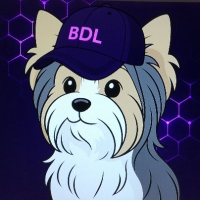Biewer Dog Lovers - Join a passionate community celebrating the Biewer Terrier breed! Support dog lovers with NFTs and Web3 tools. Join the movement!