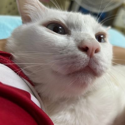 Park_MuJu's profile picture. I hope you guys like my collections | No politics | I’m scared of being bookmarked