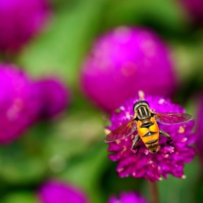 HenryCarlieZxYX's profile picture. 