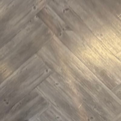 bluepanda10k's profile picture. 