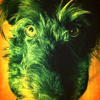 RodriquezJ50203's profile picture. Human