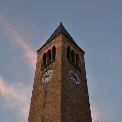 mervynchryspfpb's profile picture. 