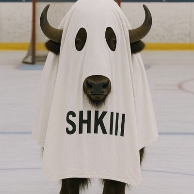 SHKIIIsGhost's profile picture. The Twitter spirit of the 1st Sabres Owner.
Tweeting Sabres humor/history.
Check 'What's In Seymours Desk' on game days.
Not an actual Knox but, SHKIV Approved!