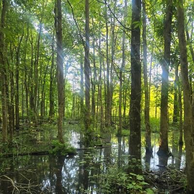 mahikasharma123's profile picture. 