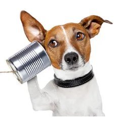 Entity9997724's profile picture. The deep state criminal network control the Fed, banks, multi national corporations, mainstream media/TV, big pharma/tech &  governments https://t.co/gtrSR6c0Yv