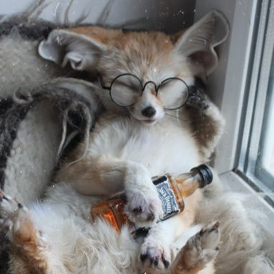 ☆ 21 | They/Them | Tech nerd | Artist ☆ Just a fox chilling ΘΔ ☆ WickerBeast lover ☁️ DMS OPEN/ ART COMS OPEN