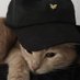 mgx (@mgxwastaken) Twitter profile photo mgx (@mgxwastaken) Twitter profile photo