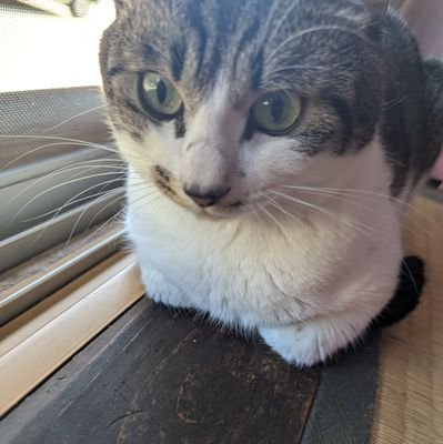 f52vsx's profile picture. 