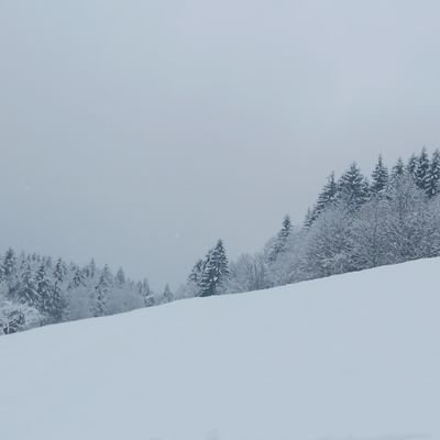 simo49538's profile picture. 