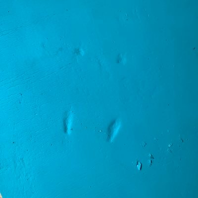 b0ngl0r's profile picture. I will flirt with you. woodvale truther, free-range evermore pony, auttie hottie, adults only, queer, fat, over 30