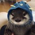 Janq (@janqqfv) Twitter profile photo Janq (@janqqfv) Twitter profile photo
