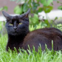 Lowa سَُ سِِكُسْ_كتَاب bokep (@chudai_jav_gune) 's Twitter Profile