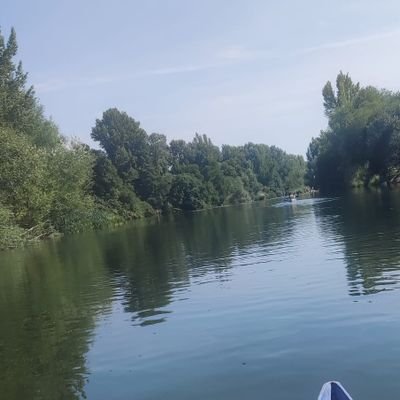 MikeMike2000__'s profile picture. ...