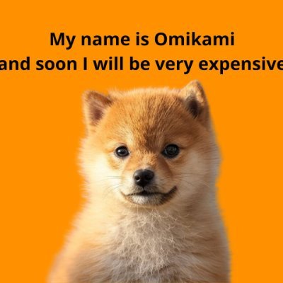 omikami169's profile picture. $64B or nothing 🟧 | $22B or nothing ⬛ | Omikami × RyuJin Army 🟧⬛

@Omikamitoken & @RyuJinDragonETH - IN GOD WE TRUST