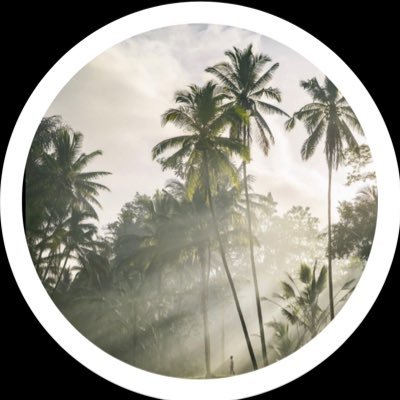 🦾🌴🛩️