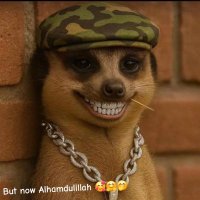 Itz Benzy Ony HUDL (@onyeitz5792) 's Twitter Profile