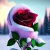 عبد الرزق (@brahmby56) Twitter profile photo عبد الرزق (@brahmby56) Twitter profile photo
