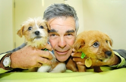 DrGraemeSmith's profile picture. I am the Managing Director of Australia's largest animal shelter, The Lost Dogs' Home. We operate shelters in several states of Australia.