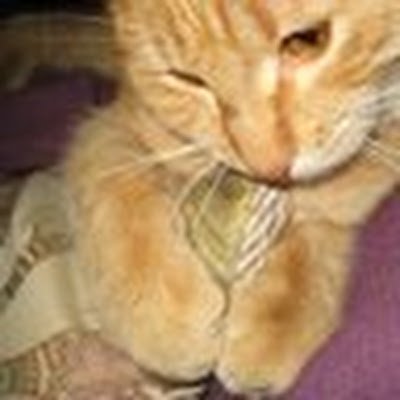 noble_amy4118's profile picture. 
