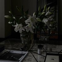 Razan Abd ulmjeed (@razan_r89) 's Twitter Profile Photo