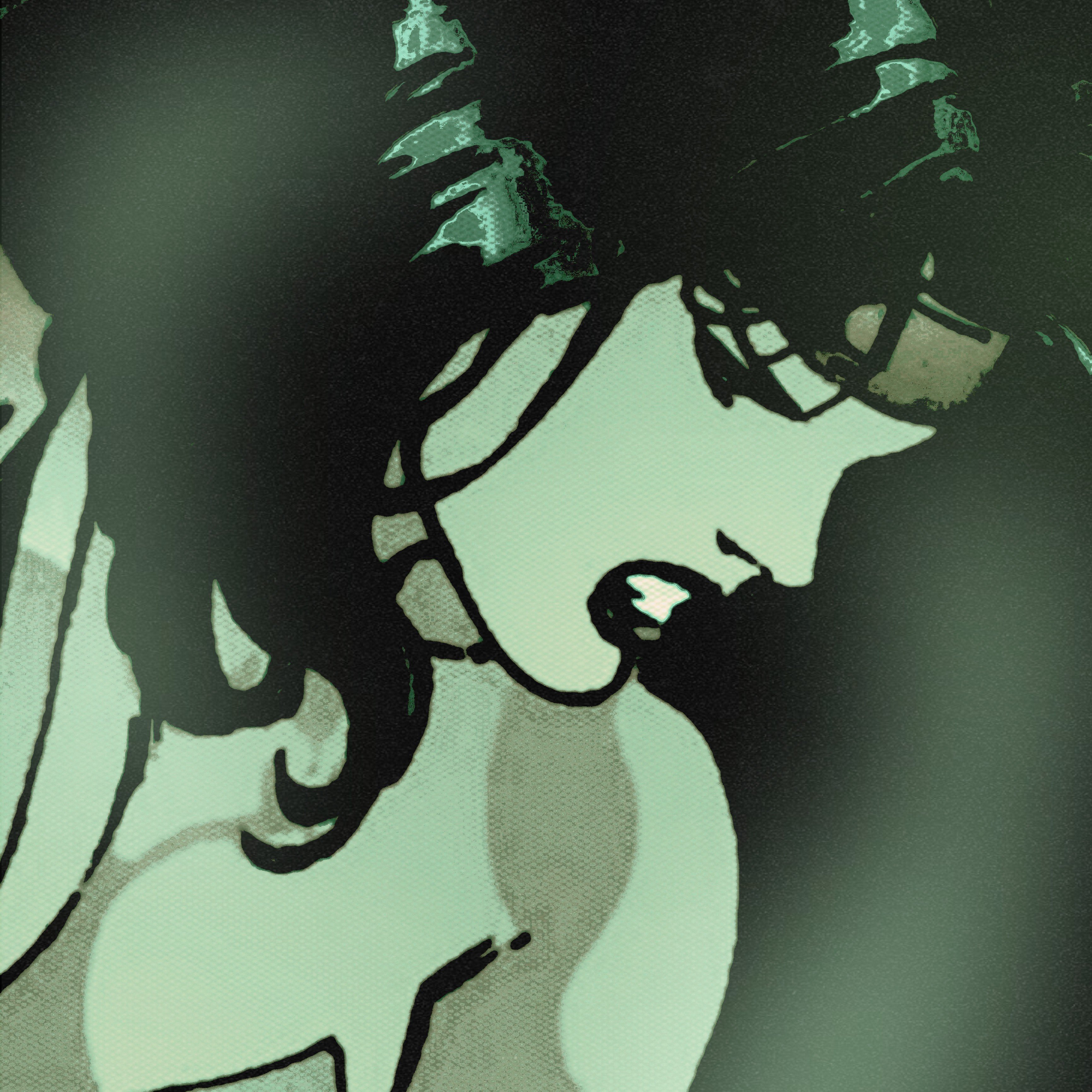 socpnfusing's profile picture. 