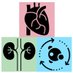 CV, Kidney and Metabolic Health Research Section (@ckm_research) Twitter profile photo CV, Kidney and Metabolic Health Research Section (@ckm_research) Twitter profile photo