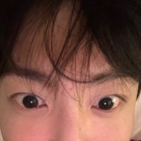 sybil⁷ (@jemsversion) 's Twitter Profile