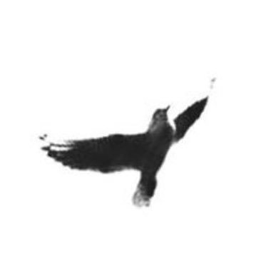87history9K's profile picture. استغفر الله العظيم