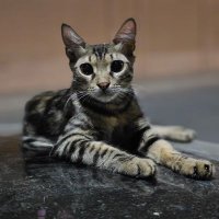 منوو💞 (@b302548) Twitter profile photo