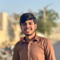Usman Khalid (@hanaemi3) 's Twitter Profile