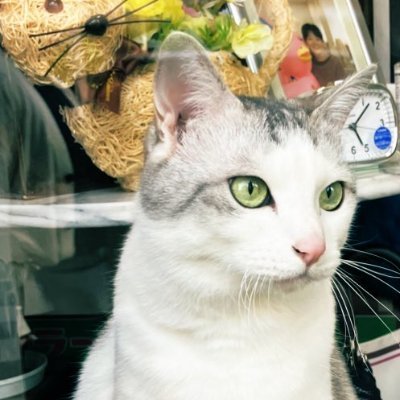 エッセイスト作家です。noteの売上で生活しています。発信力を伸ばしたい人、noteのフォロワーを増やしたい、noteの売り上げを伸ばしたい、noteで出版をしたいという方向けの発信しています。 運営者→@paya_paya_kun