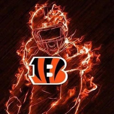 dmos973's profile picture. 