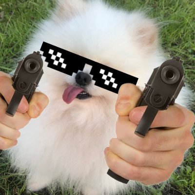 kinakomoti_0106's profile picture. 