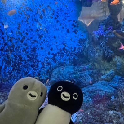 おしあくん🐧さんのプロフィール画像